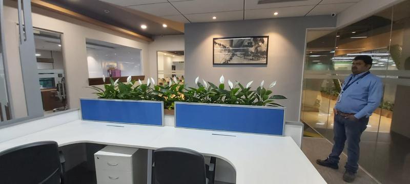 Furniture Business Seeking Loan in Mumbai, India