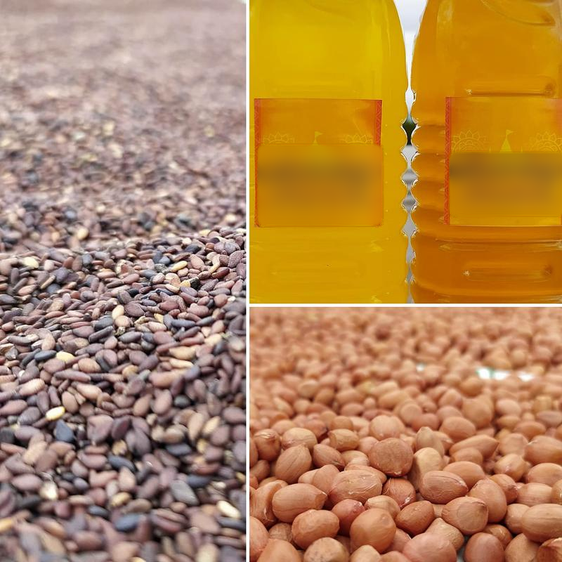 Edible Oil Refinery Investment Opportunity in Namakkal, India seeking