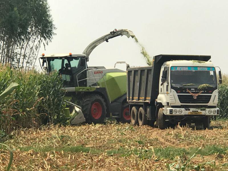 Animal Feed Company Seeking Loan in Odisha, India seeking INR 8.5 crore