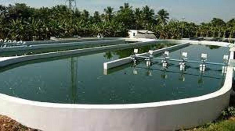 Agriculture Support Business Investment Opportunity in Sangli, India