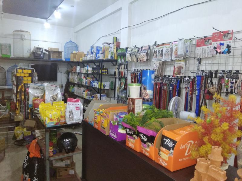 Newly Established Pet Shop Investment Opportunity in Ernakulam, India
