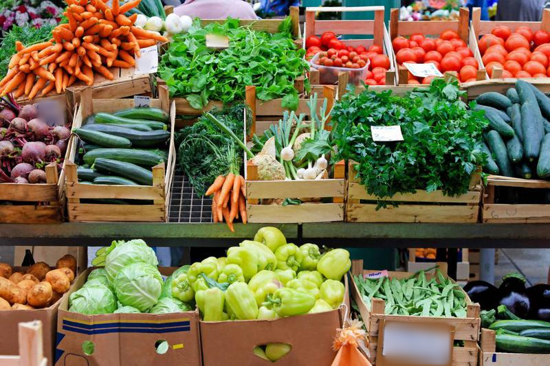 Agriculture Wholesale Business Investment Opportunity in Bangalore, India