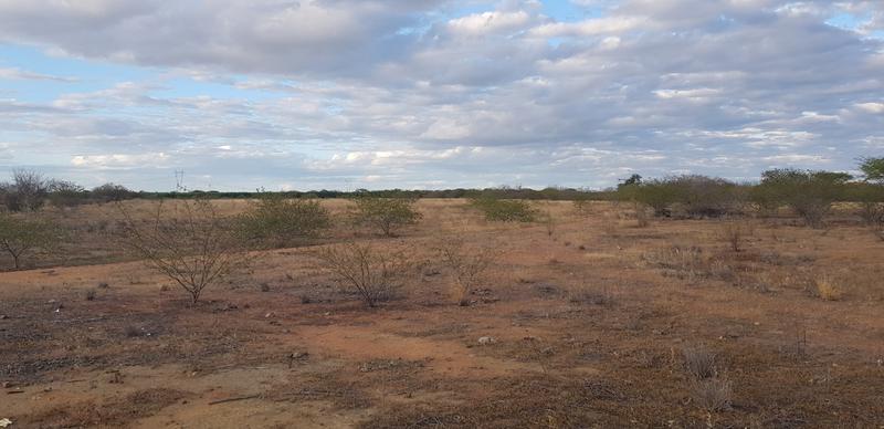 Newly Established Solar Power Plant for Sale in Juazeiro, Brazil