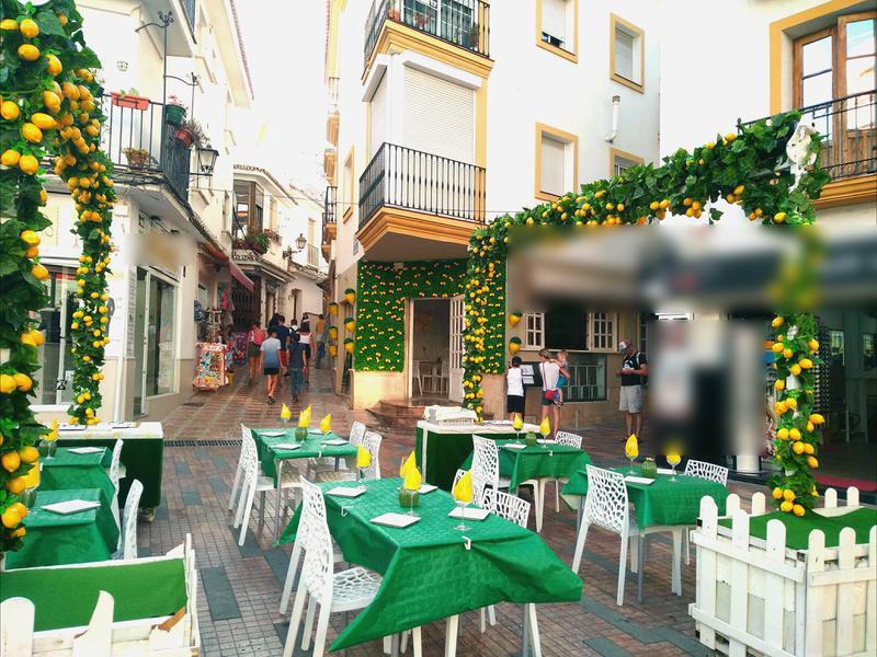 Profitable Bar for Sale in Marbella, Spain