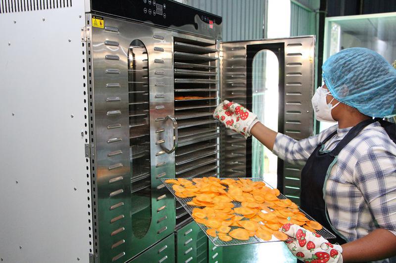 Profitable Food Processing Company Investment Opportunity in Colombo