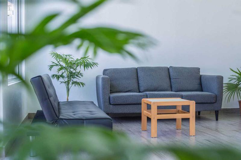 Profitable Rented Commercial Property Equity Stake For Sale in Velidhoo, Maldives