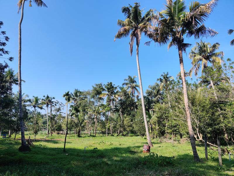 Commercial Land Assets for Sale in Kochi, India seeking INR 12.6 crore