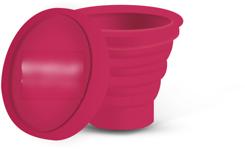 Hygiene Products Company Investment Opportunity in Delhi, India