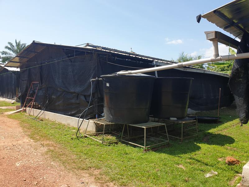 Vegetable Farm for Sale in Malacca, Malaysia seeking MYR 1.9 million