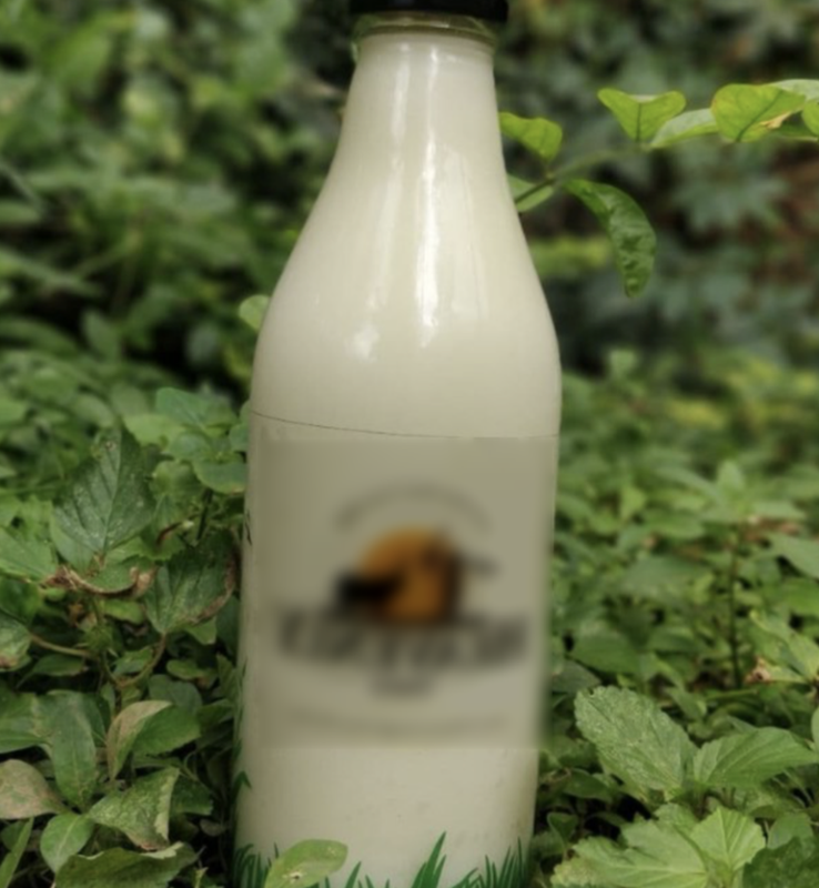 Dairy Products Company Investment Opportunity in Bangalore, India