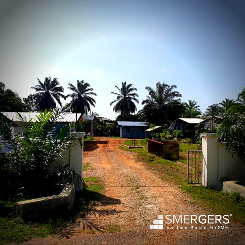Vegetable Farm for Sale in Malacca, Malaysia