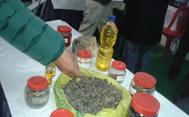 Biodiesel Company Investment Opportunity in Bhimdatta, Nepal