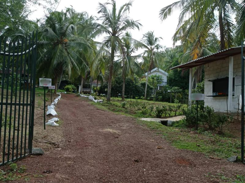 Profitable Agriculture Company Investment Opportunity in Kandy, Sri Lanka