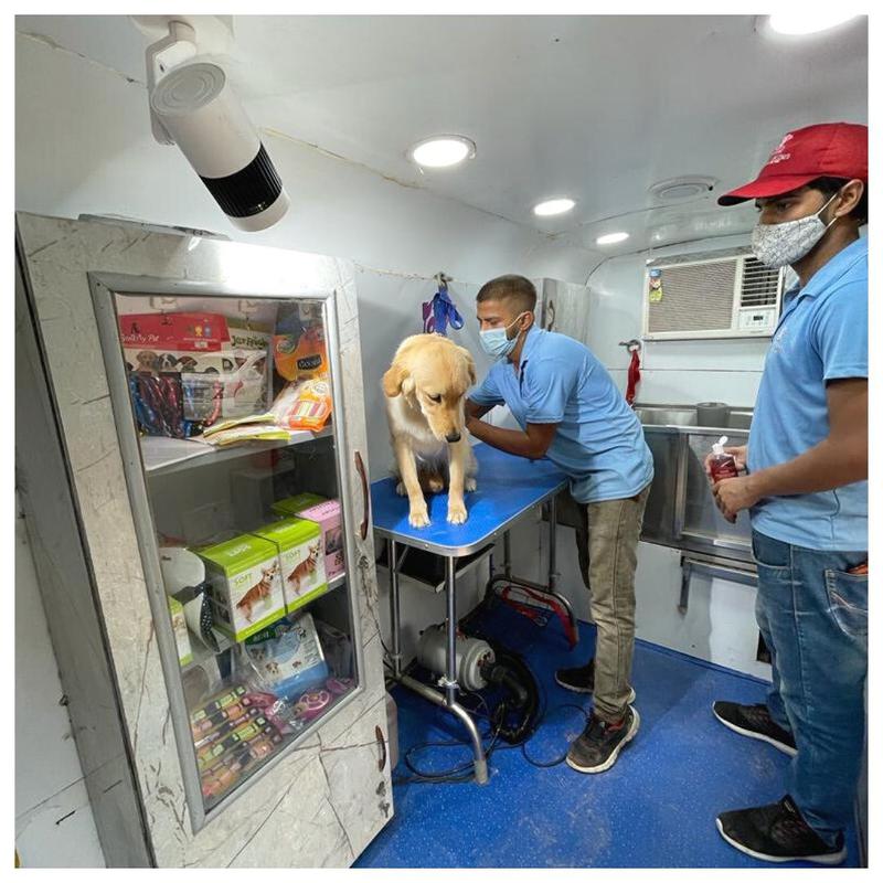 Pet Shop for Sale in New Delhi, India