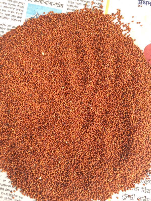 Food Processing Company Investment Opportunity in Kolhapur, India