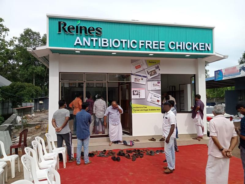 Reines Safe Chicken (Grain 'N' Grace Food) Franchise Opportunity