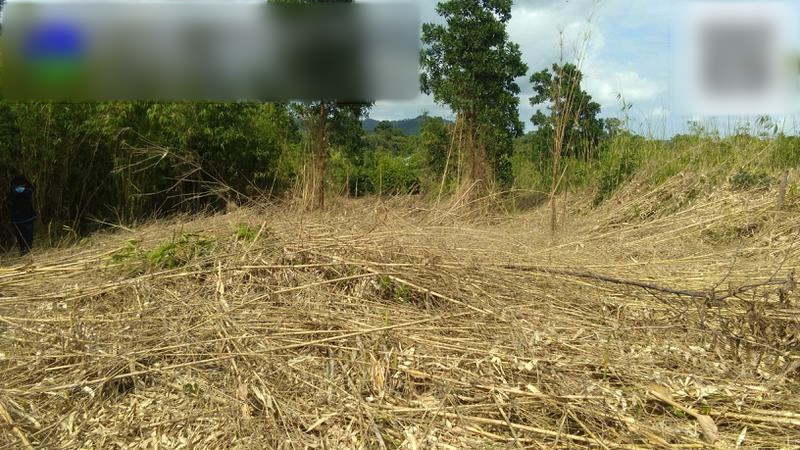 Land Developers Business Seeking Loan in Puerto Princesa, Philippines
