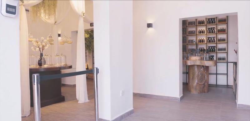 Art Gallery Investment Opportunity in Lagos, Nigeria seeking NGN 250