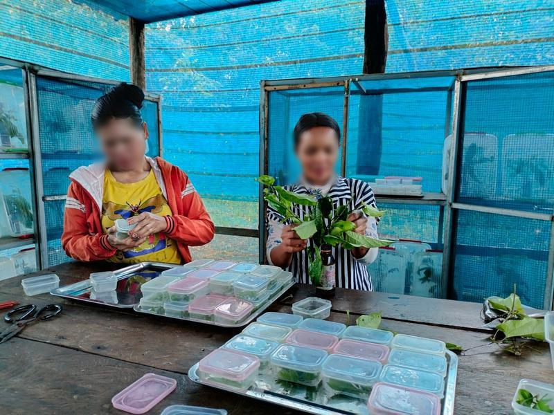 Newly Established Animal Breeding Business Seeking Loan in Luang Prabang, Laos