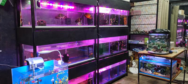Pet Shop for Sale in Surat India seeking INR 3.7 lakh