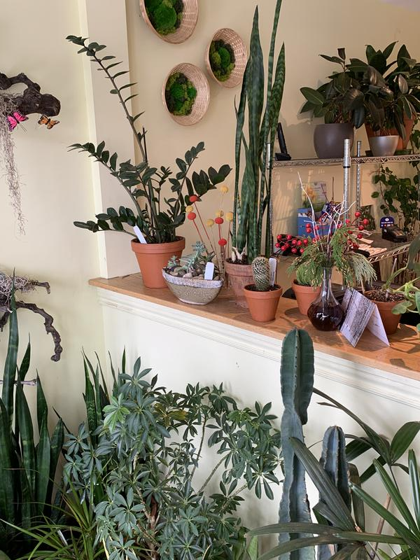 Landscaping Business for Sale in Ottawa, Canada seeking CAD 450 thousand