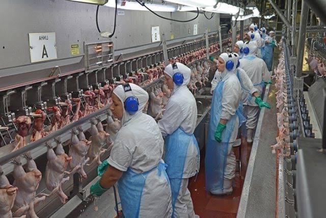 Slaughterhouse for Sale in Brazil