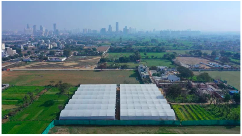 Profitable Vegetable Farm for Sale in Gurgaon, India