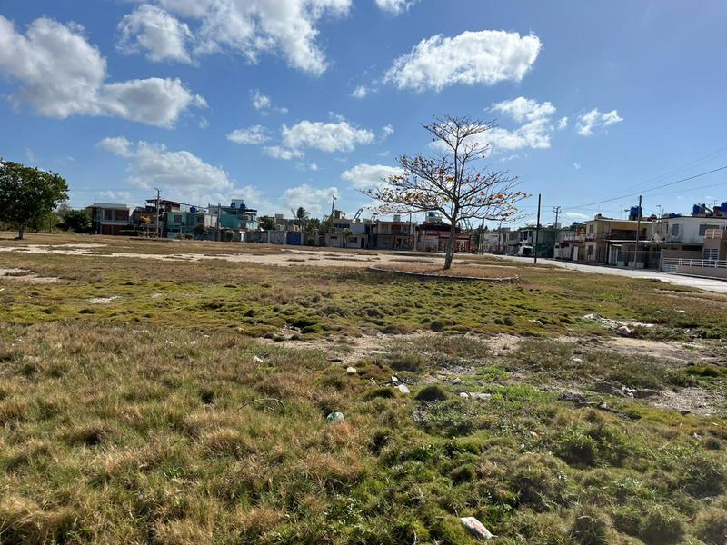 Newly Established Residential Real Estate Investment Opportunity in