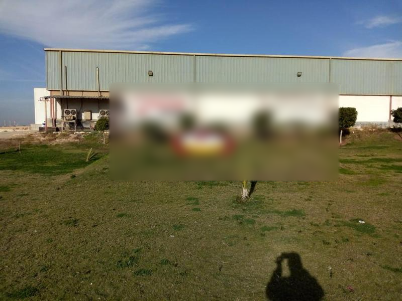Profitable Slaughterhouse for Sale in Beni Suef, Egypt seeking EGP 175
