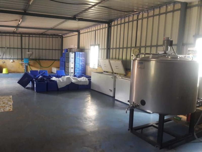 Profitable Dairy Farms Business Investment Opportunity in Bangalore