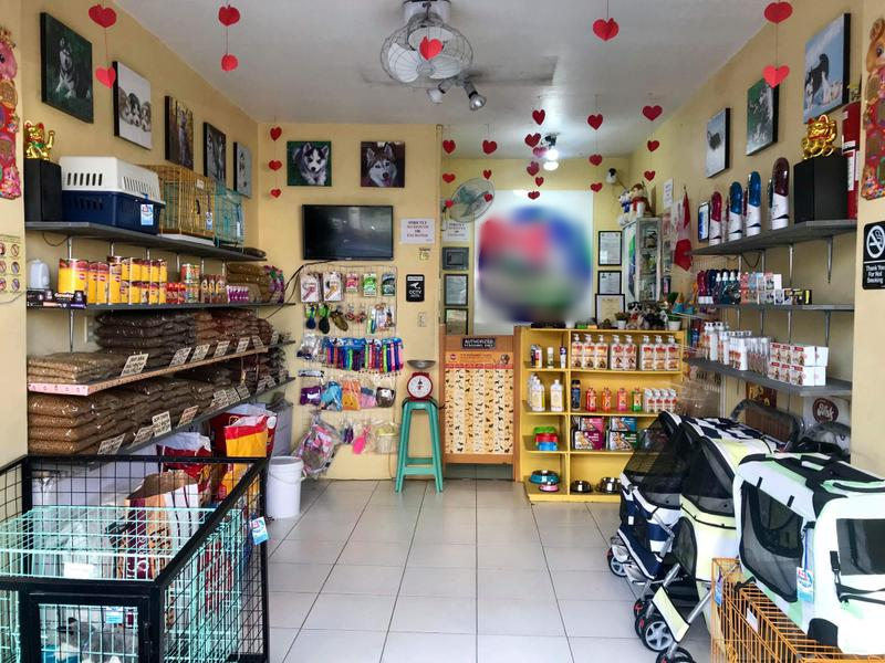 Newly Established Pet Shop Investment Opportunity in San Pedro, Philippines