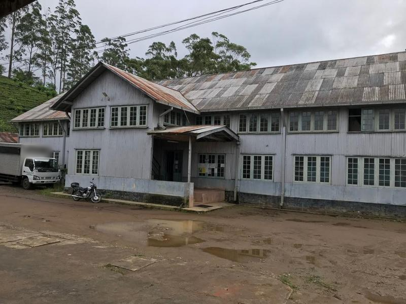 Coffee and Tea Company Investment Opportunity in Hatton, Sri Lanka