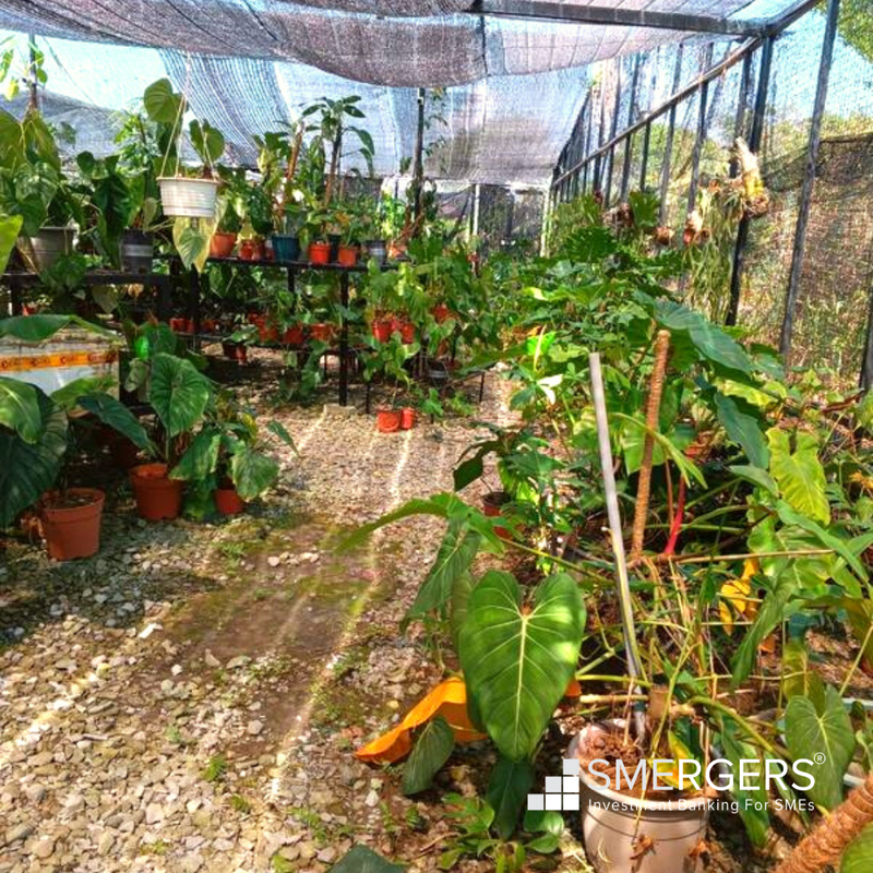 Garden Nursery for Sale in Miri, Malaysia