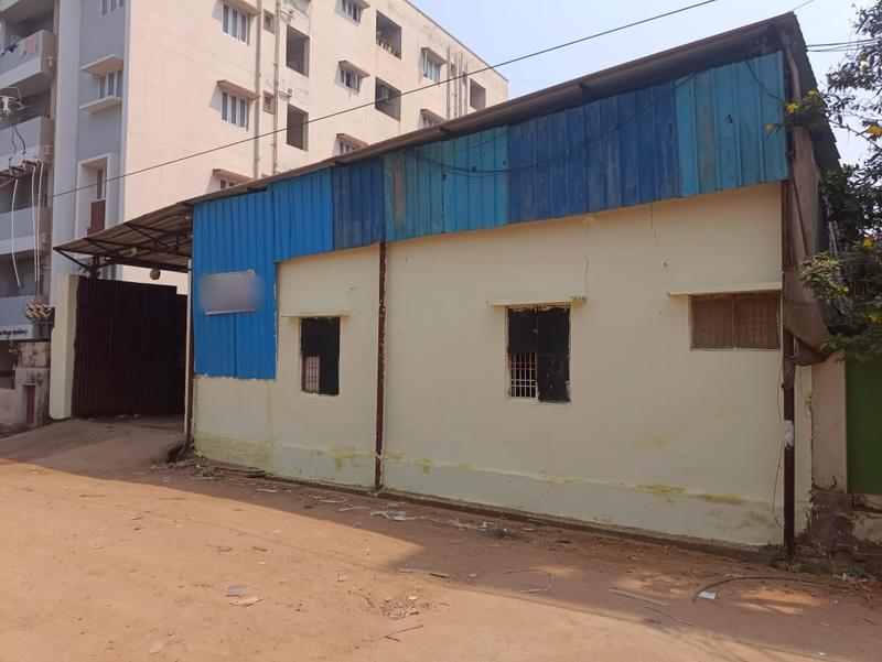 Newly Established Sugarcane Farm Investment Opportunity in