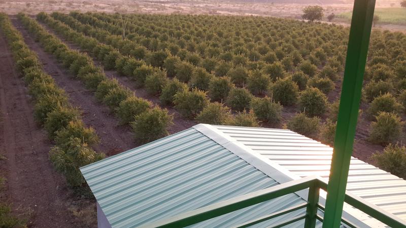 Newly Established Organic Farming Business Seeking Loan in Ahmednagar, India