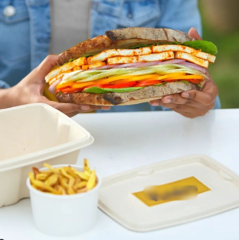 Living Food (Living Bowls) Fast Food Restaurant Franchise Opportunity