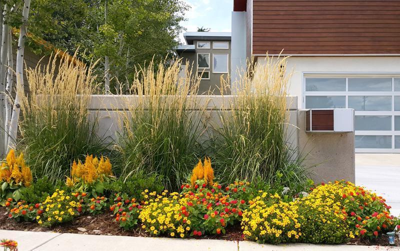 Garden Nursery for Sale in Denver, United States seeking USD 175 thousand