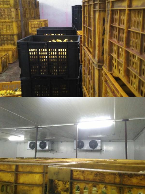 Agriculture Wholesale Business Investment Opportunity in Pusad, India