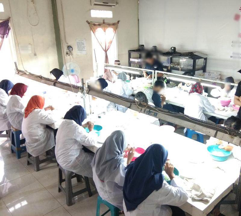 Nutrition Food Business Investment Opportunity in Yogyakarta, Indonesia