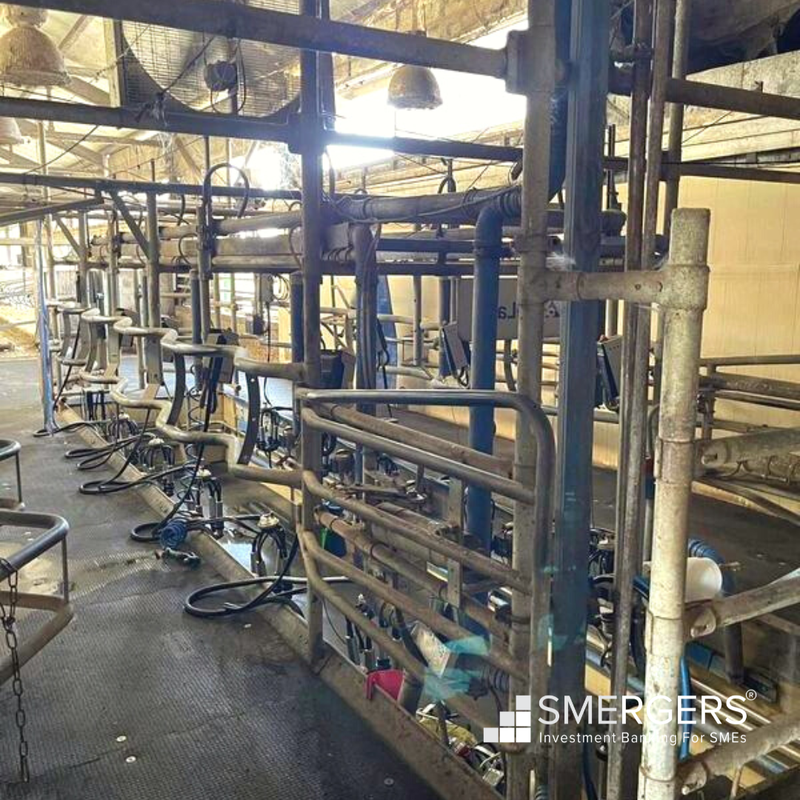 Dairy Farms Company for Sale in Dimitrovgrad, Bulgaria