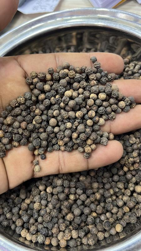 Spices Company Seeking Loan in Guwahati, India