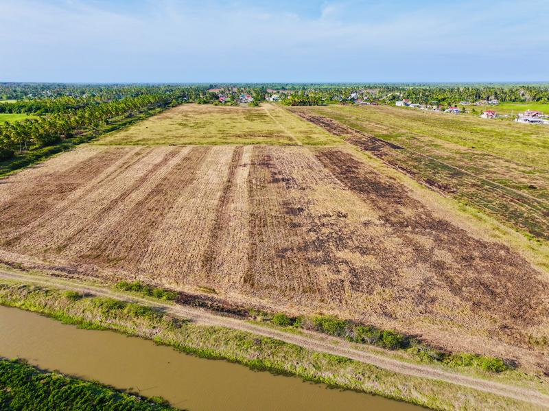 Poultry Company Investment Opportunity in Georgetown, Guyana