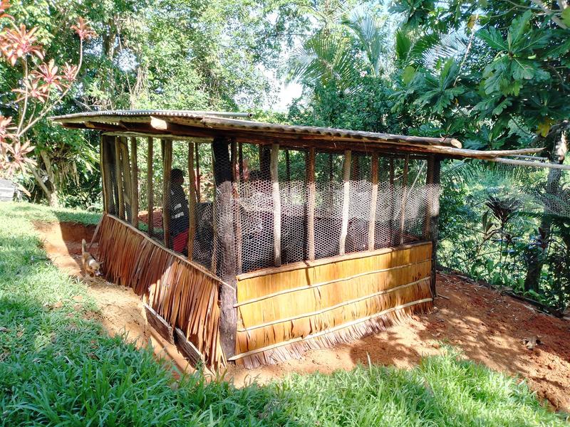 Seafood Processing Business Seeking Loan in Lorengau, Papua New Guinea