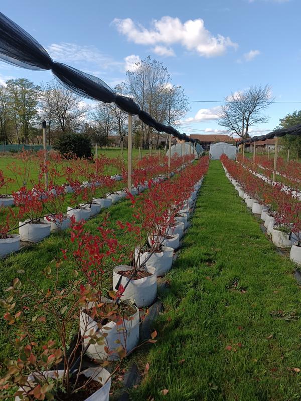 Organic Farming Business Seeking Loan in Čakovec, Croatia