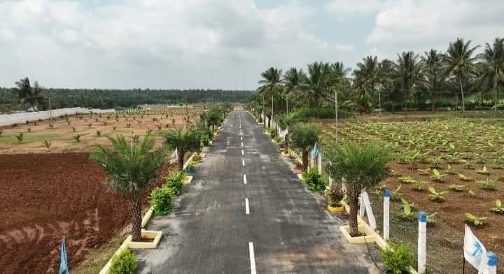 Commercial Land Assets for Sale in Coimbatore, India