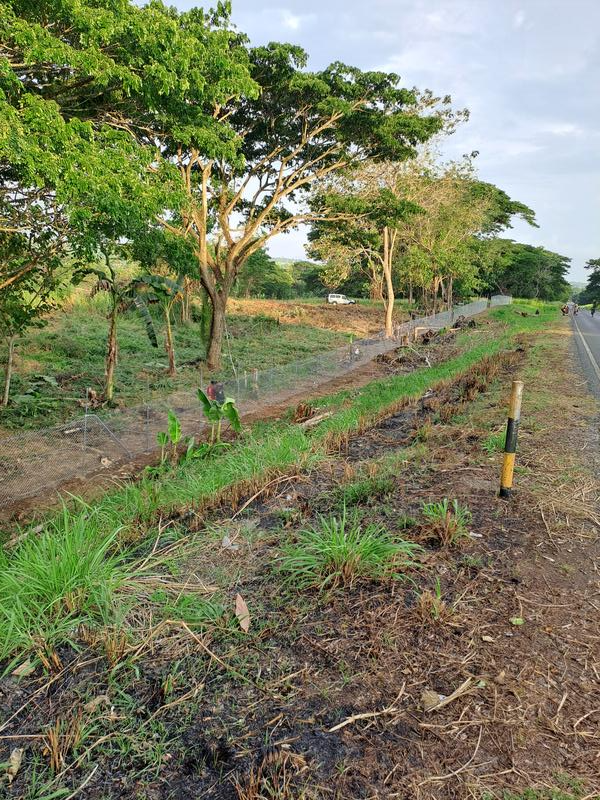 Used Car Dealers Company Seeking Loan in Port Moresby, Papua New Guinea seeking PGK 300 thousand