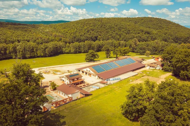 Newly Established Animal Breeding Company Investment Opportunity in Bratislava, Slovakia