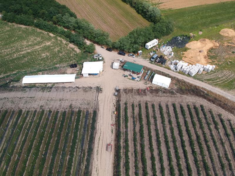 Vegetable Farm for Sale in Novi Sad, Serbia seeking RSD 180 million