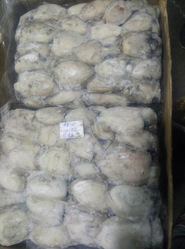 Fish Export Business Seeking Loan in Junagadh, India