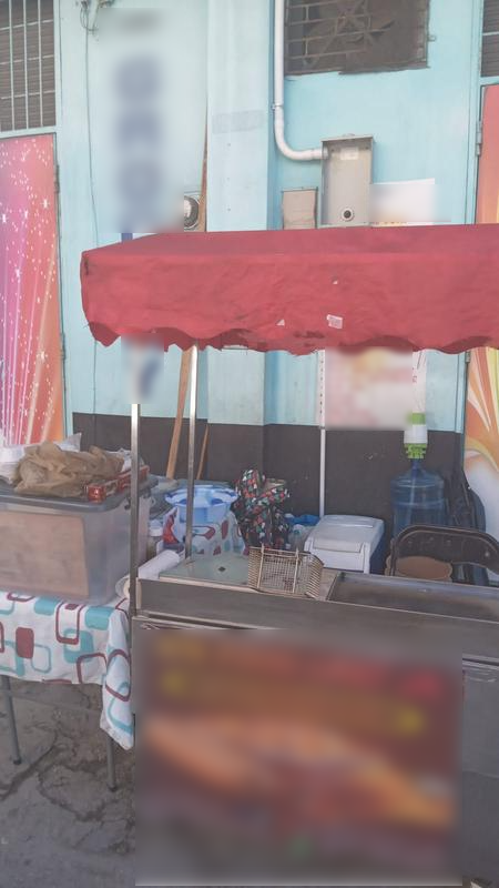 Profitable Food Truck for Sale in Kingston, Jamaica